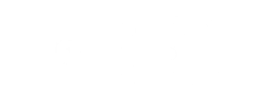 Shopify Plus Partner